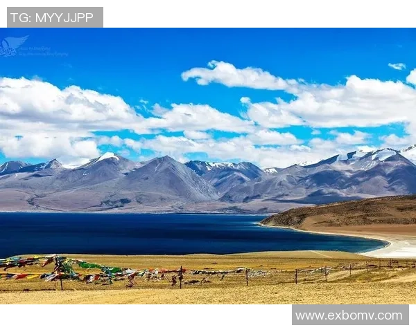 高原之巅的绿茵传奇藏族足球球星奋战草原逐梦荣耀时刻